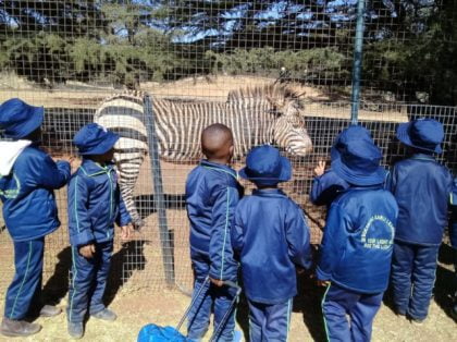 2019 Johannesburg Zoo Event